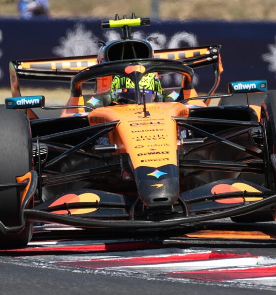 Lando Norris