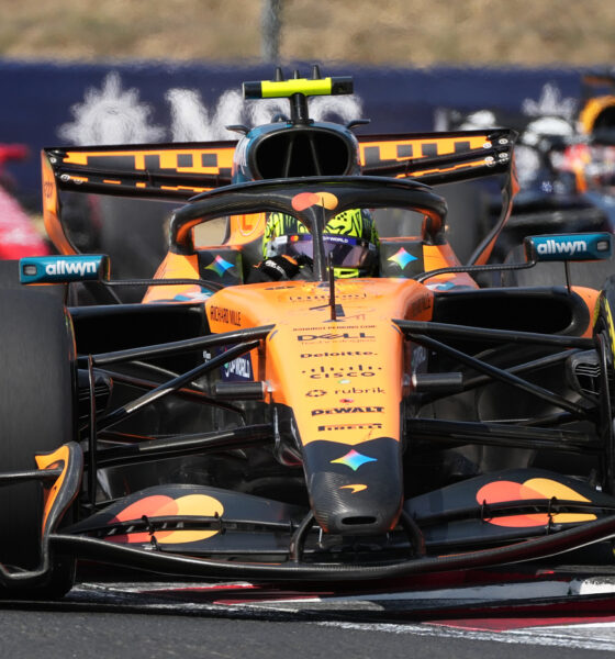Lando Norris
