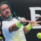Damir Dzumhur