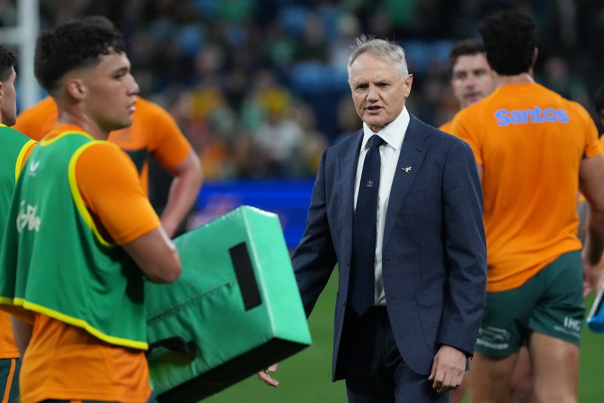 Joe Schmidt