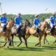 Italia polo