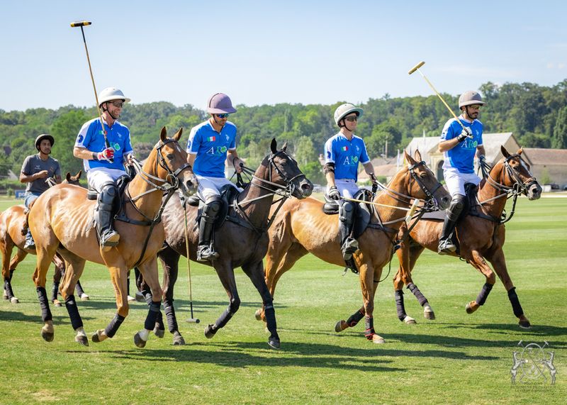 Italia polo