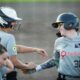 Forlì Softball