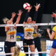 Antropova e Fahr