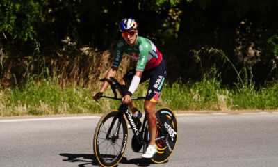 Davide Donati