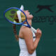 Elise Mertens