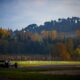 circuito Imola