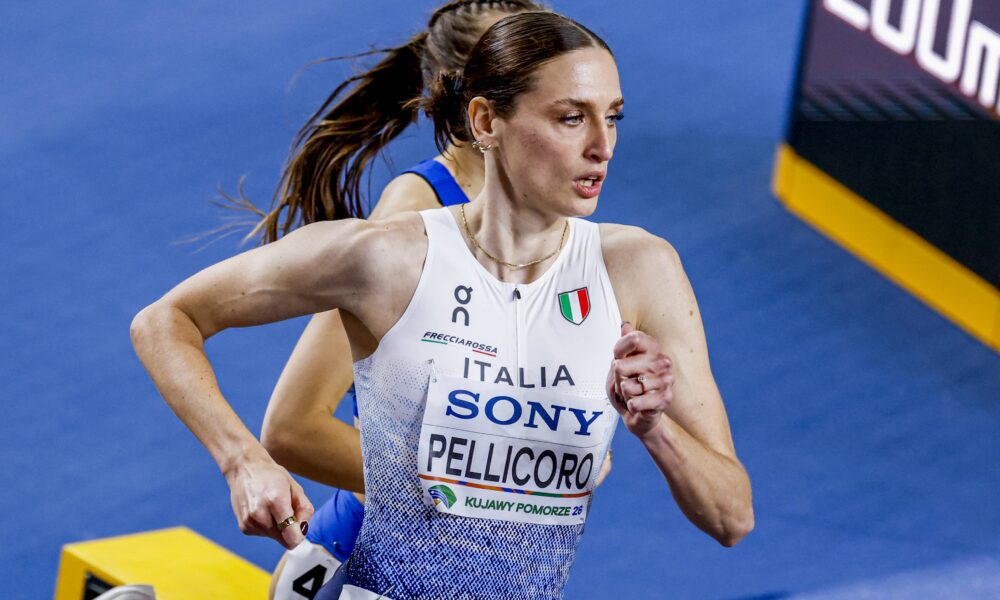 Laura Pellicoro