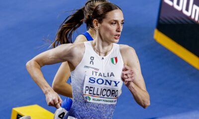 Laura Pellicoro