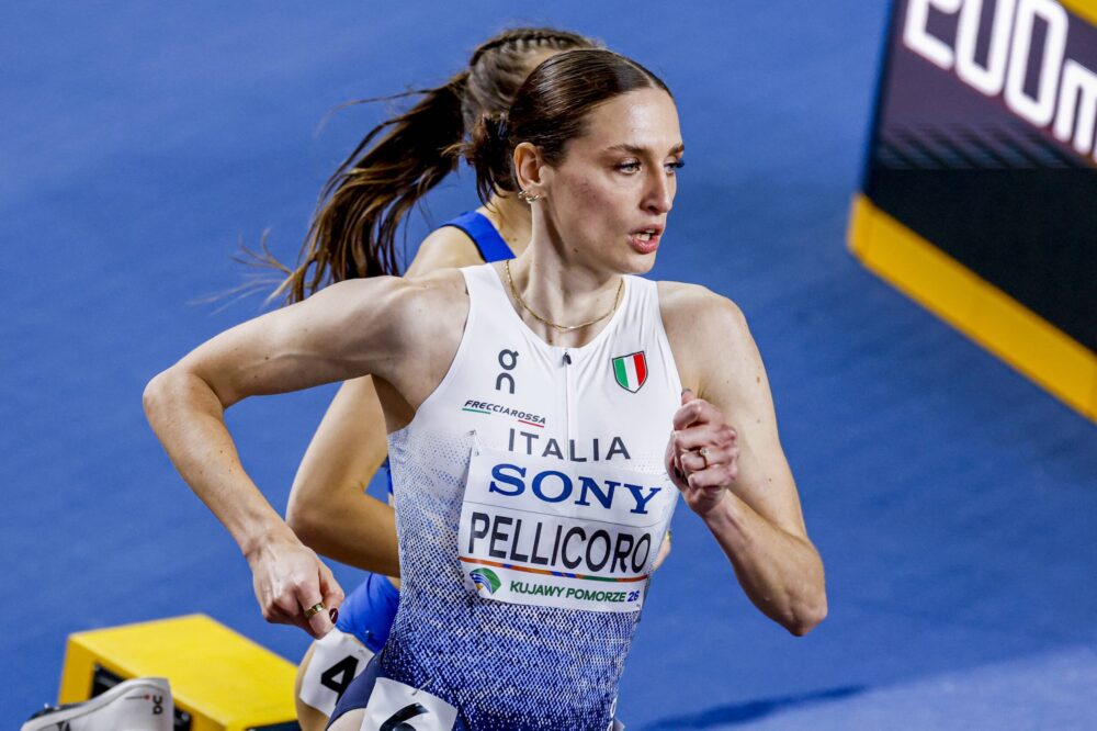 Laura Pellicoro