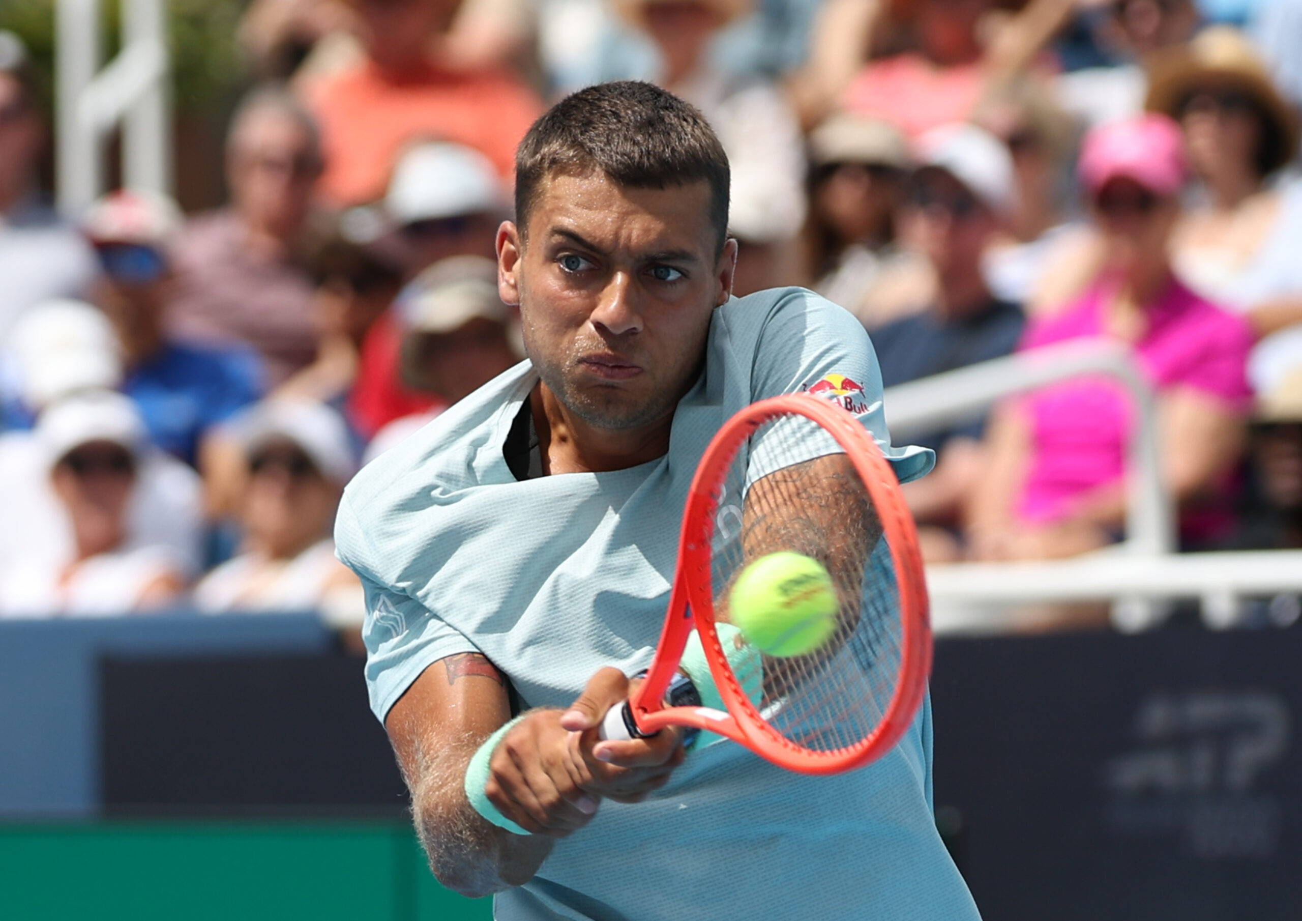 us open 2026 flavio cobolli e l8217arrivo a new york con lo status di grande da Oasport.it us open 2026 flavio cobolli e l8217arrivo a new york con lo status di grande