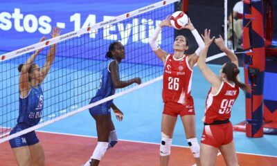 Katarzyna Wenerska