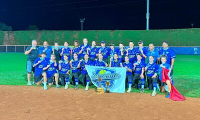 Saronno Softball