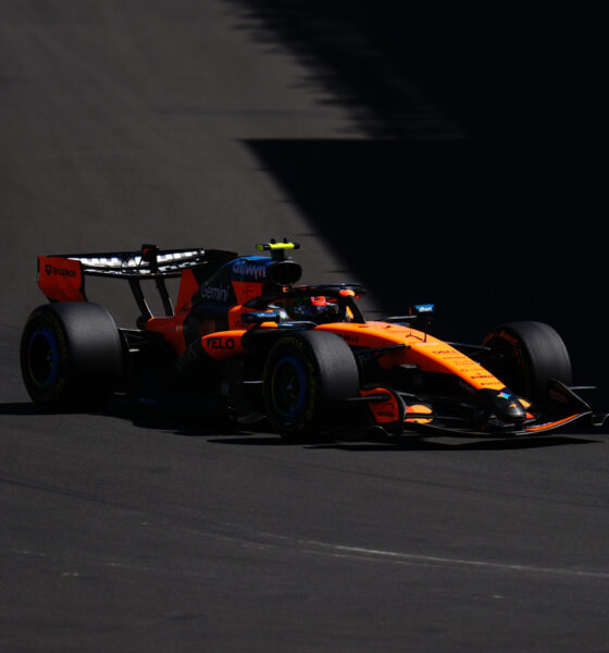 Lando Norris