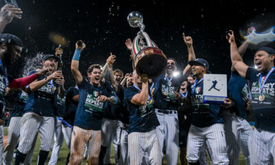 Parma Baseball