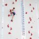 Coppa del Mondo arrampicata sportiva - FASI