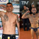 Cristian Zara Salvatore Contino