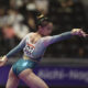 Qinqin Ke