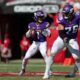 Minnesota Vikings NFL