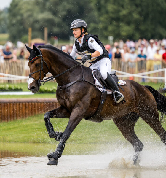 Julia Krajewski