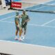 Simone Bolelli, Andrea Vavassori
