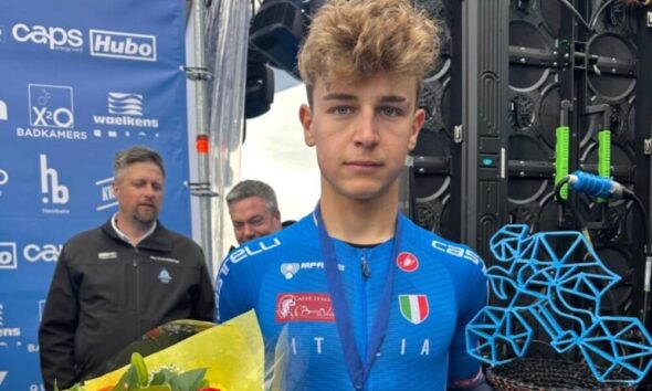 Brandon Fedrizzi